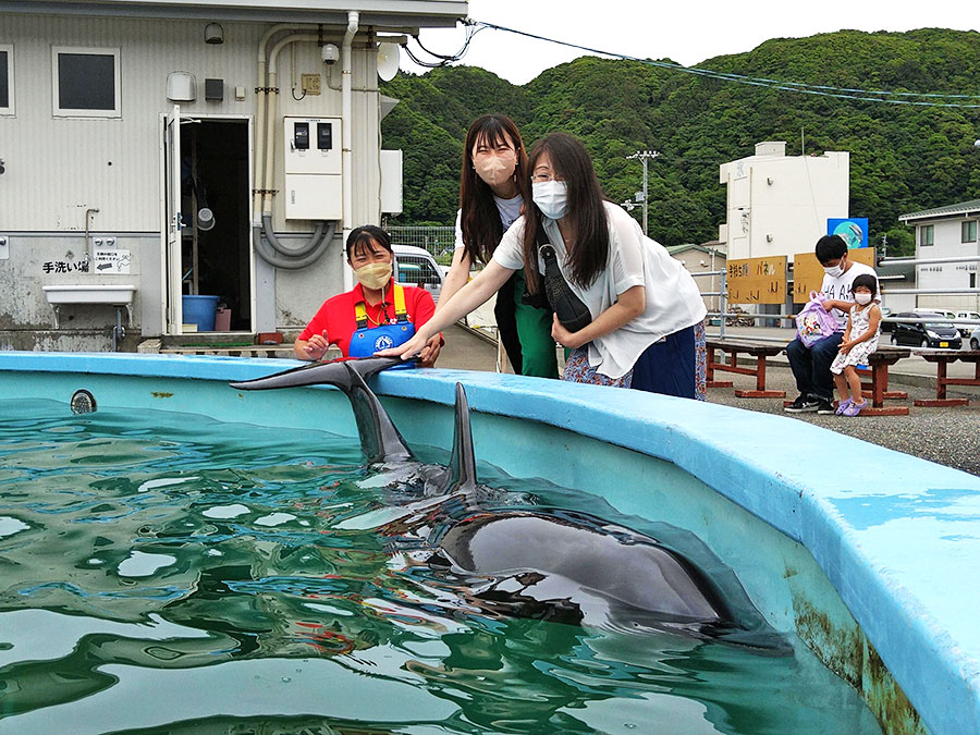 室戸ドルフィンセンターでイルカにタッチ