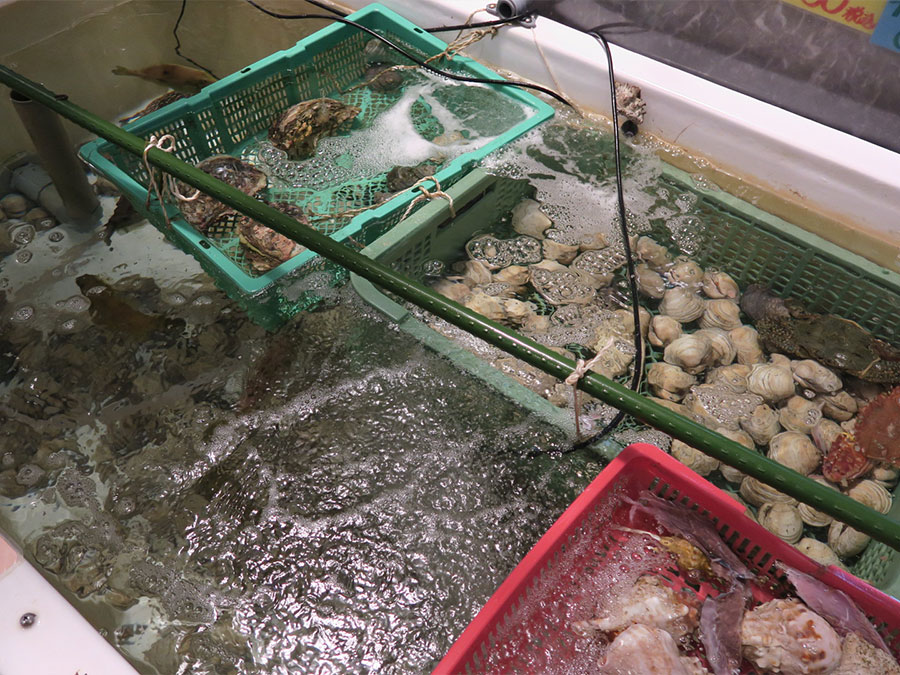 道の駅なかとさの鮮魚売り場