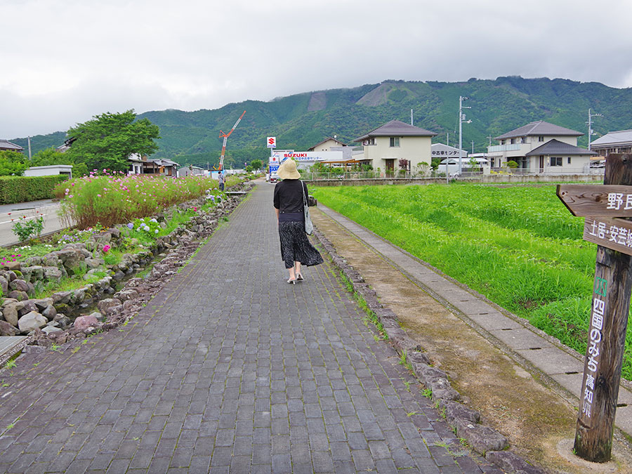 安芸・野良時計の四国自然歩道