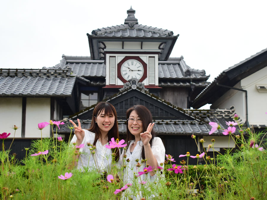 安芸・野良時計とコスモス