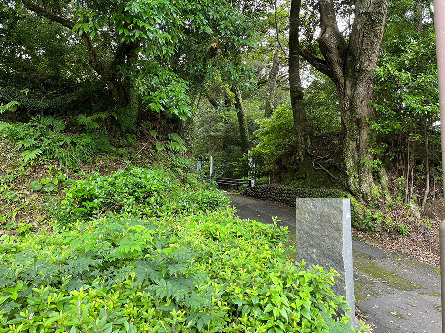 四万十市郷土博物館前の土塁