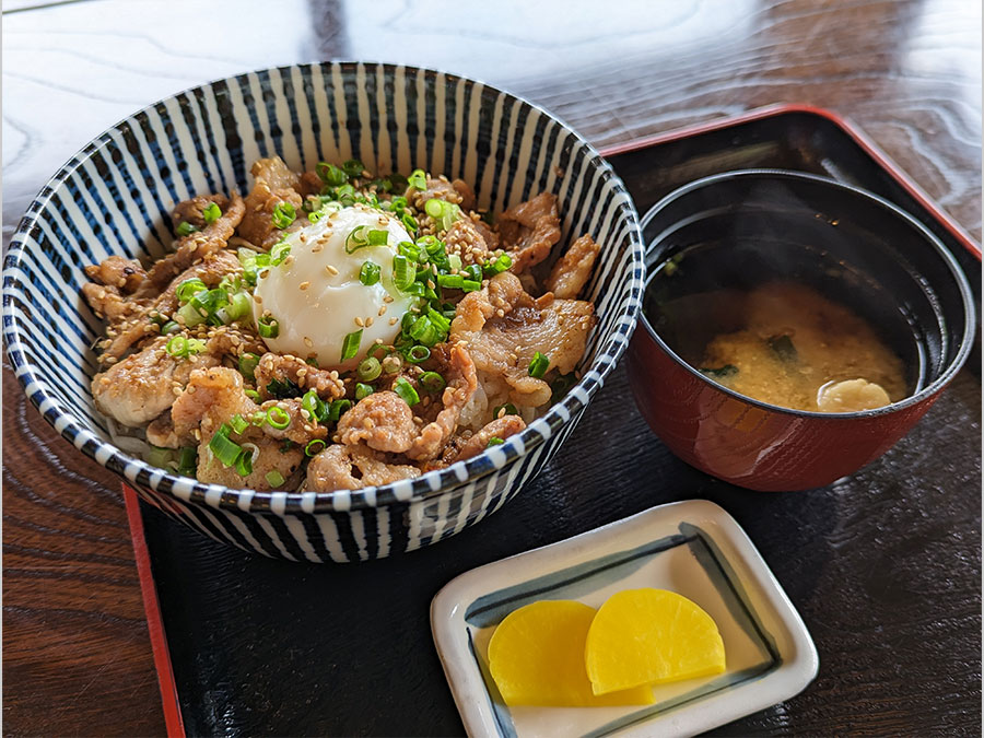 四万十ポークのとどろ味噌豚丼