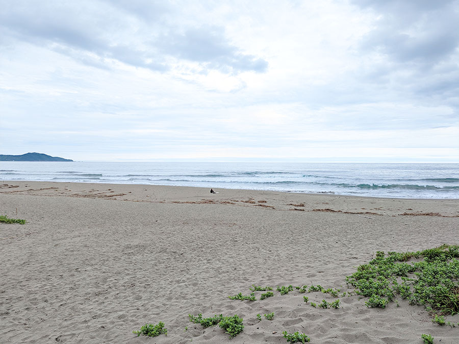 入野海岸