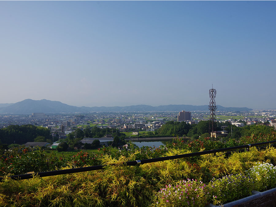 紀ノ川SAからの景色