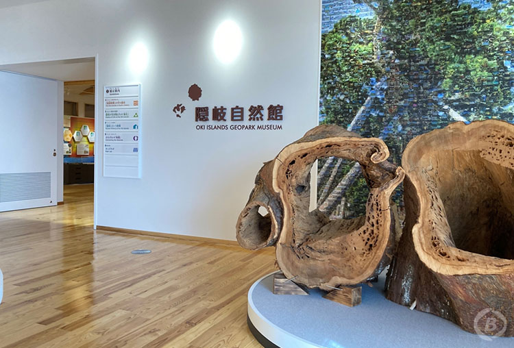 隠岐自然館