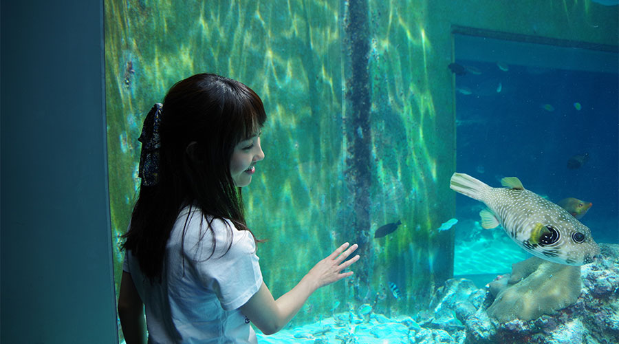 沖縄美ら海水族館