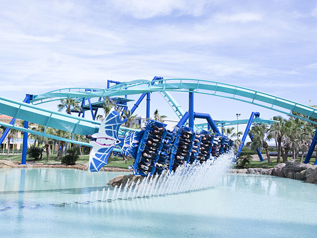 ナガシマスパーランド・ジャイアントフリスビー