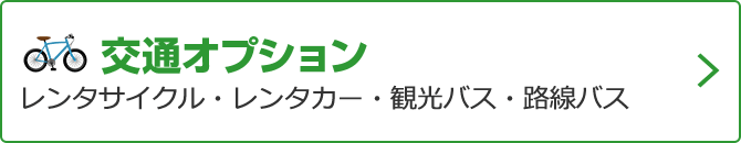 交通オプション