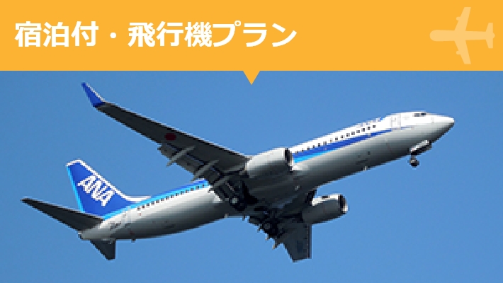 飛行機で行く