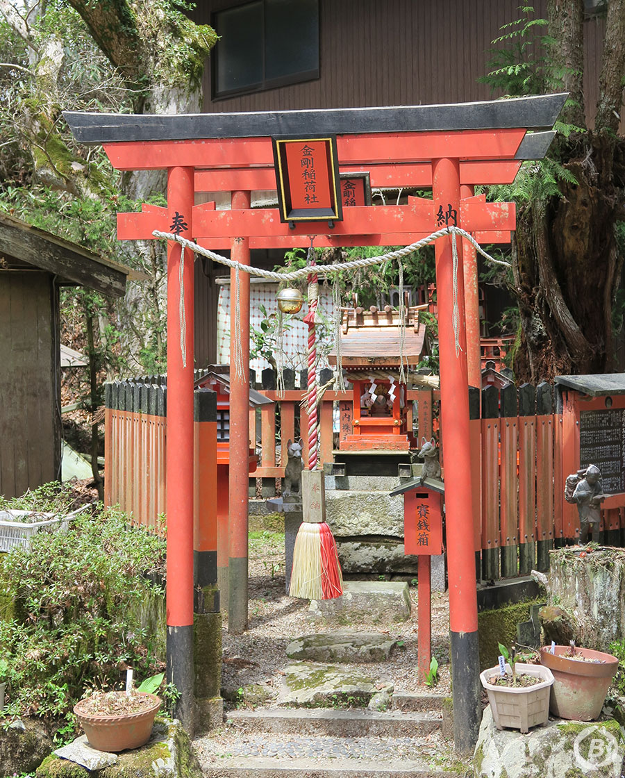 金剛山