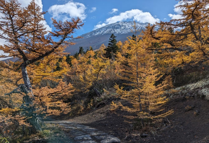 紅葉の富士山