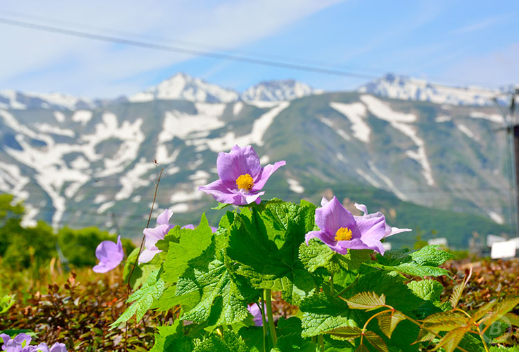 小遠見山トレッキング