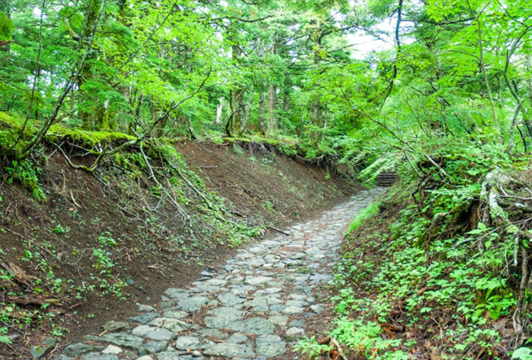 吉田口登山道