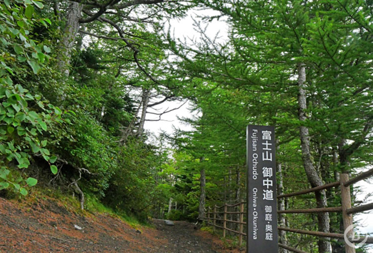 お中道