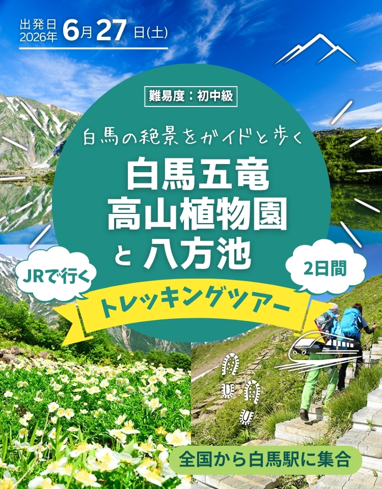 白馬の絶景をガイドと歩く！JRで行く白馬五竜植物園と八方池トレッキング2日間