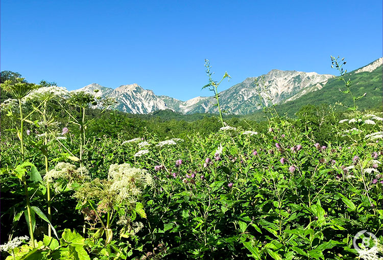 白馬三山