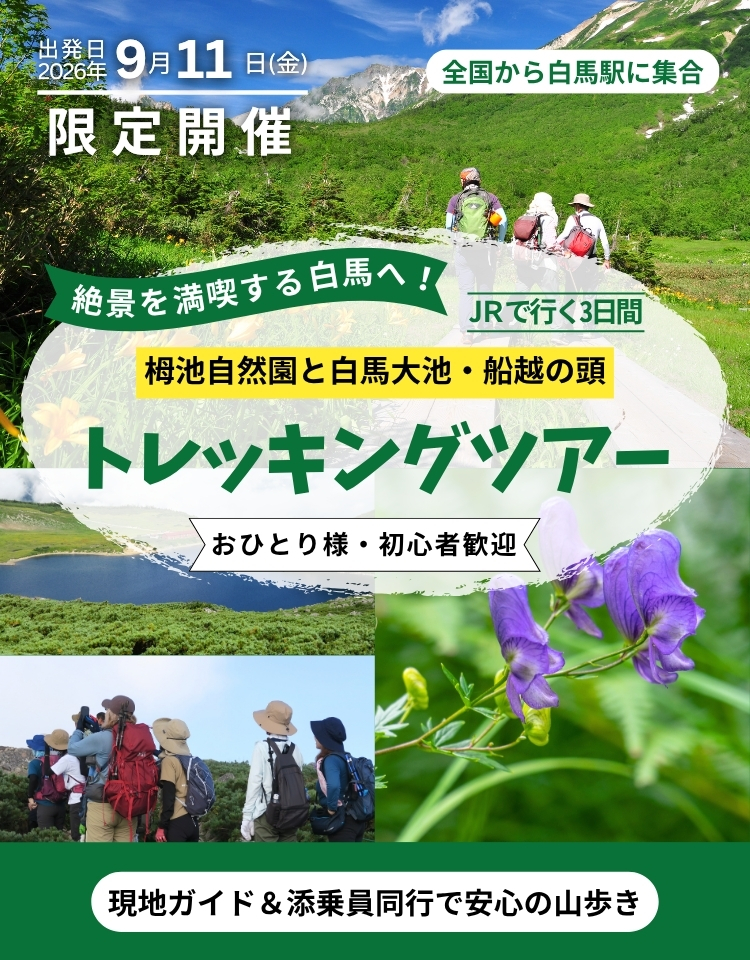 JRで行く栂池自然園と白馬大池・船越の頭トレッキングツアー
