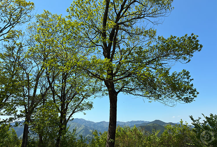 岩茸石山