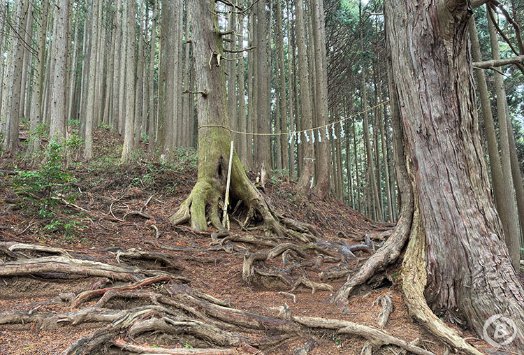 惣岳山
