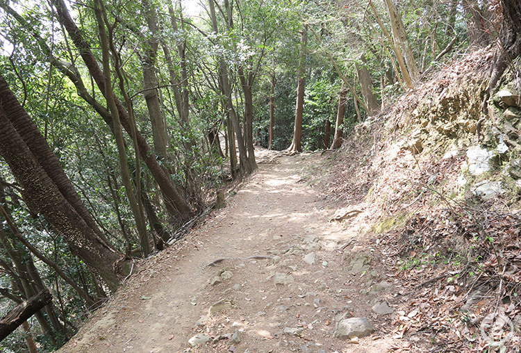 稲荷山ルート