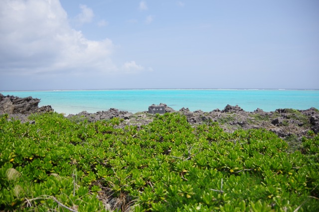 赤崎海岸